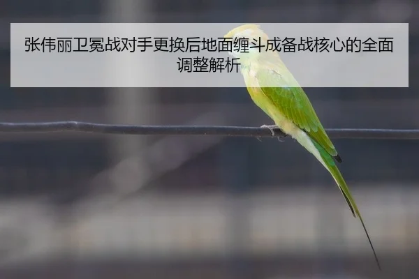 张伟丽卫冕战对手更换后地面缠斗成备战核心的全面调整解析